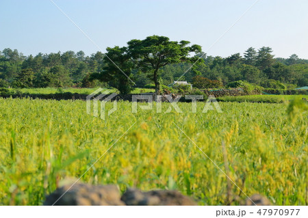 風景 観光 風 47970977