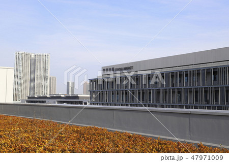 豊洲市場　水産仲卸売場棟　屋上緑化広場　　　 47971009