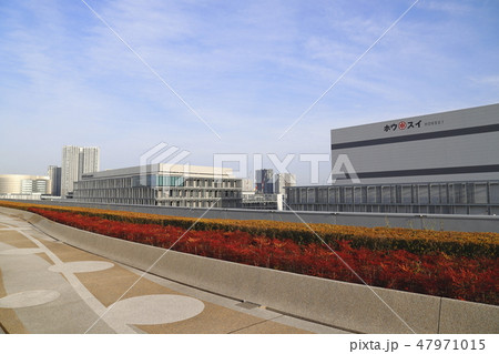 豊洲市場　水産仲卸売場棟　屋上緑化広場　　　 47971015