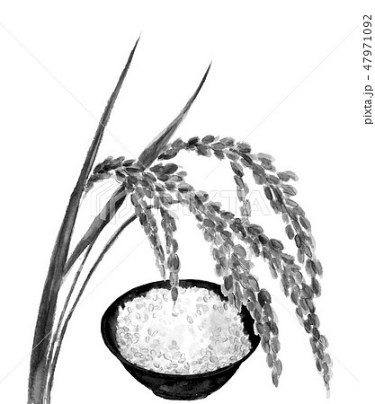 稲穂と炊きたてご飯 水墨画 モノトーン 47971092