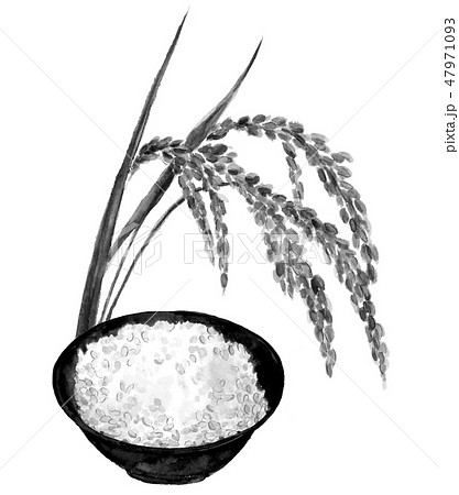 稲穂と炊きたてご飯 水墨画 モノトーン 47971093