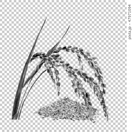 Inaho和米墨水墨畫單調 47971094