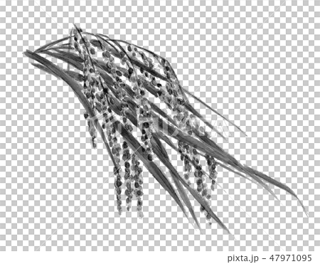 Inaho Inaru水墨畫單調 47971095