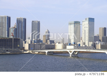 豊洲市場　水産仲卸売場棟　屋上緑化広場から見る豊洲大橋　　 47971196