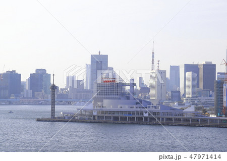 豊洲市場　水産仲卸売場棟　屋上緑化広場から見る晴海ふ頭　　 47971414