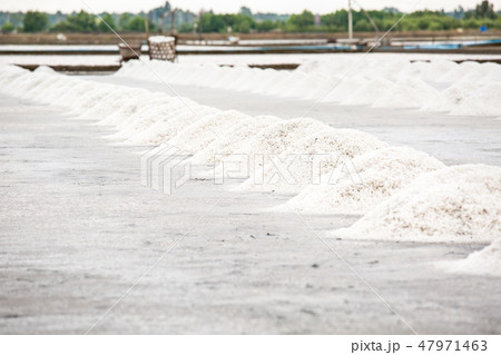 Heap of sea salt in a field prepared for harvest. 47971463