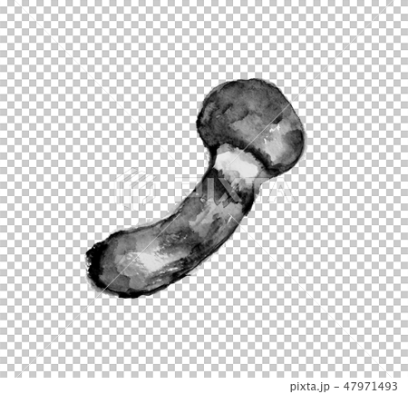 Matsutake Matsutake水墨畫單調 47971493