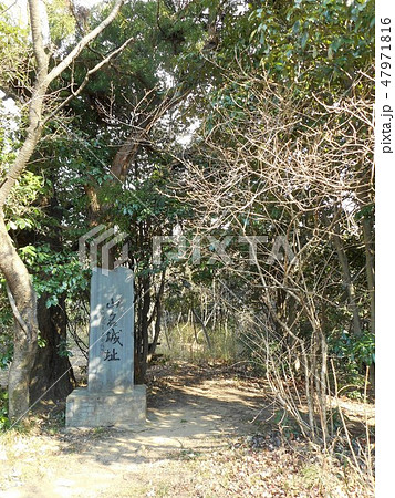 山名城址 山名城址 47971816