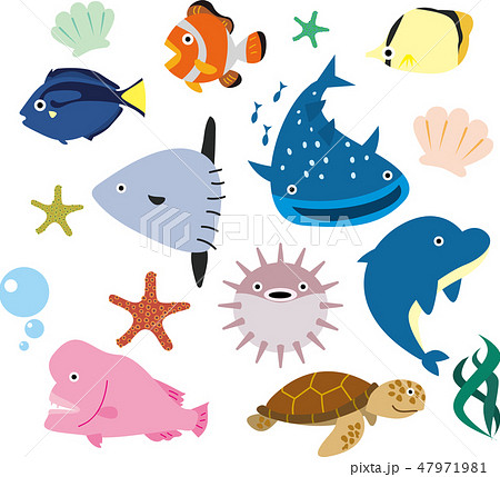 海の生き物のイラスト素材 47971981 Pixta