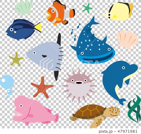 Sea Creatures Stock Illustration