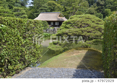 桂離宮 池の向こうの松琴亭 桂離宮 池の向こうの松琴亭 47972029