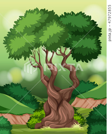 A tree in nature sceneのイラスト素材 [47972855] - PIXTA