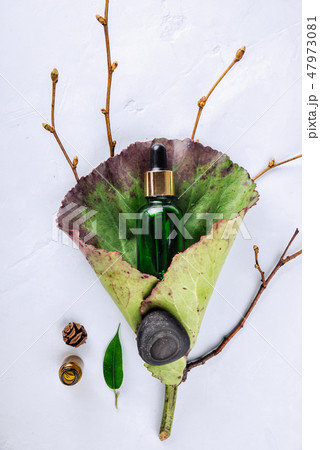 Herbal extract, essential oil, serum in a vial on a green leaf. The concept of natural cosmetics Herbal extract, essential oil, serum in a vial on a green leaf. The concept of natural cosmetics 47973081