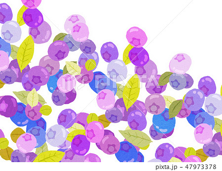 フェルト ブルーベリー コラージュのイラスト素材