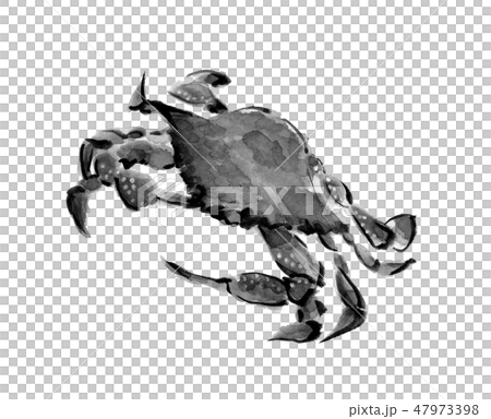 Watari fish crawl crab ink painting monotone 47973398