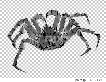 Tharabagani ink ink painting monotone 47973399