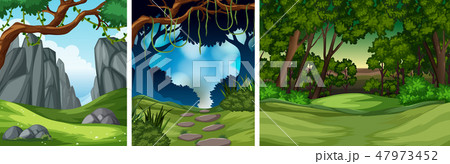 Set of tropical rainforest background Set of tropical rainforest background 47973452
