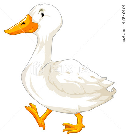 A White Goose Characterのイラスト素材 A White Goose Characterのイラスト素材