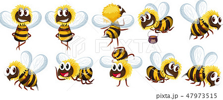 Set of bee character 47973515