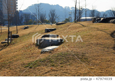 広島みなと公園内遊歩道傍小山と岩 47974039