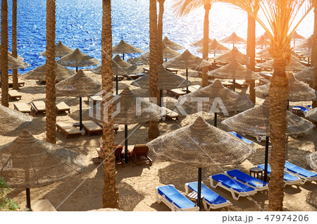 Summer chaise lounges under an umbrella on sandy sea beach in hotel Egypt, Sharm el Sheikh, concept 47974206