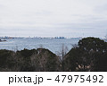 埠頭風景 47975492