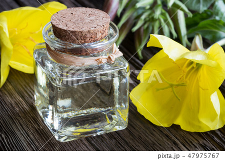 A bottle of evening primrose oil with fresh plant 47975767