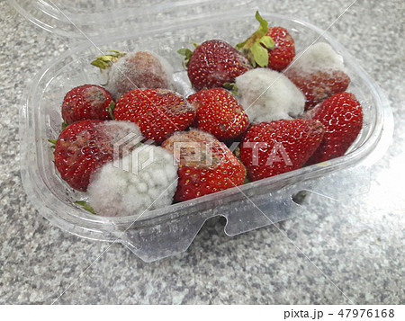 Strawberries with mold fungus in the packaging box 47976168