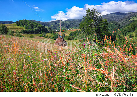 Beautiful countryside landscape with forested hill 47976248