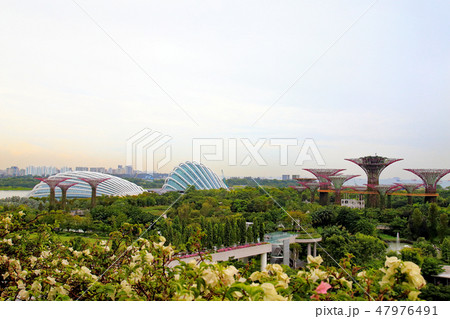 ホテルからの風景　　ガーデンズ・バイ・ザ・ベイ 47976491