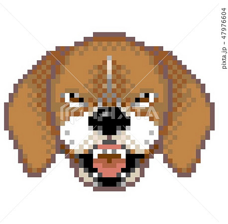 ドット絵 ビーグル犬 激怒のイラスト素材