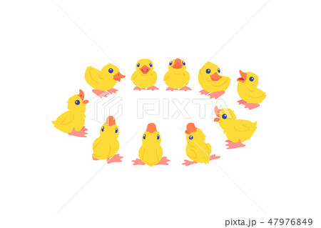 vector cartoon animal clip art vector cartoon animal clip art 47976849