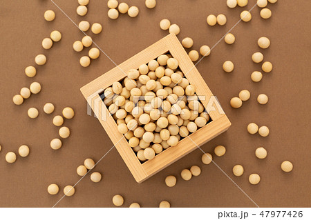 大豆 47977426