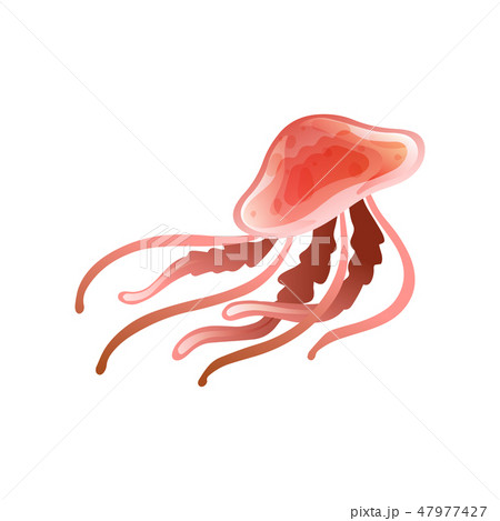 Jellyfish, Beautiful Red Swimming Marine Underwater Creature Vector Illustration 47977427