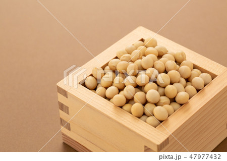 大豆 47977432