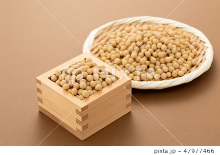 大豆 47977466
