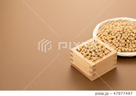 大豆 47977497