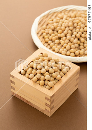 大豆 47977498