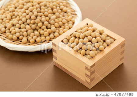 大豆 47977499