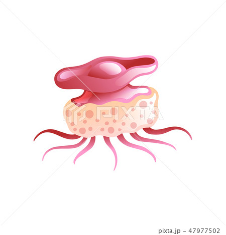 Jellyfish, Beautiful Magenta Swimming Marine Underwater Creature Vector Illustration Jellyfish, Beautiful Magenta Swimming Marine Underwater Creature Vector Illustration 47977502