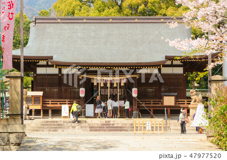 春の弓弦羽神社 47977520