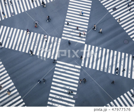 People walking Japan city street crosswalk 47977576