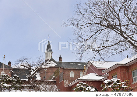 冬の北海道函館市上湯の川町のトラピスチヌ修道院の風景を撮影 47977696