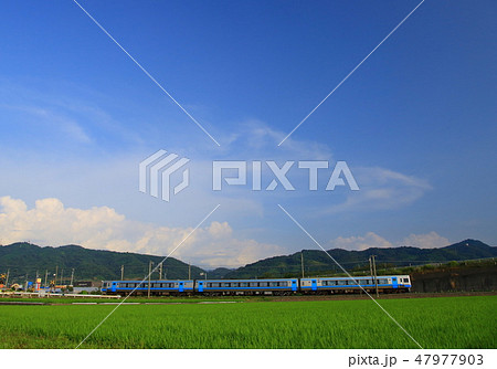 伊予市の田園と列車 47977903