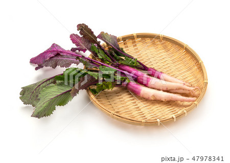 滋賀県の伝統野菜、日野菜かぶ 47978341