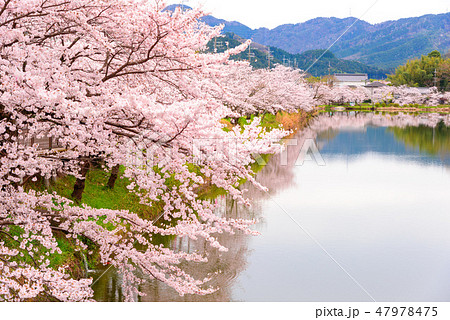 丹波篠山の町並み 47978475