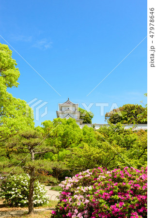 明石公園の景観 47978646