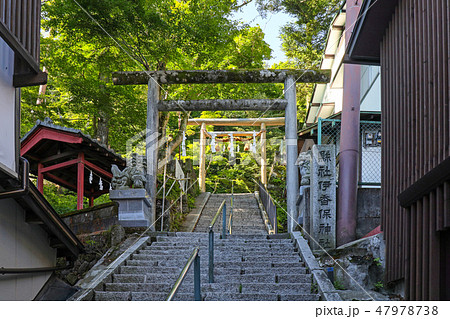 伊香保神社 47978738