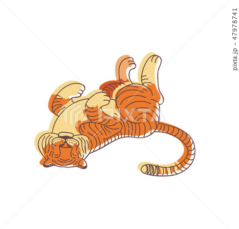 Funny tiger lying on its back. Large wild cat with orange striped coat. Predatory animal. Hand drawn 47978741