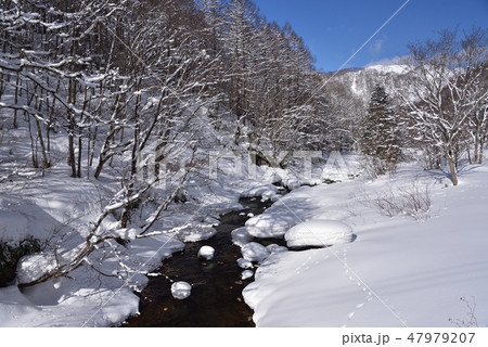 冬の北海道八雲町八熊峠の峠下で遊楽部川の河原の岩に大雪が積もりモコモコした風景を撮影 47979207